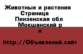  Животные и растения - Страница 13 . Пензенская обл.,Мокшанский р-н